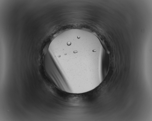 X0000086800750200705041608