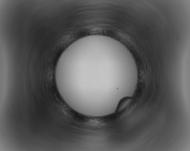 X0000086800753200705041608