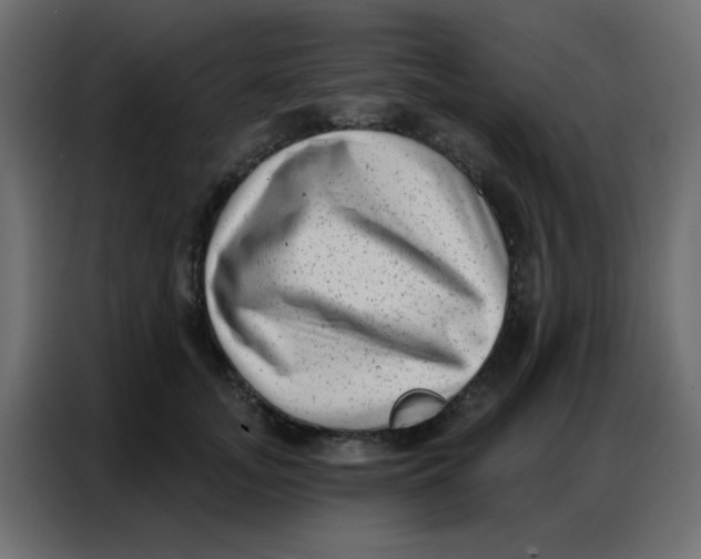 X0000086800755200705041608