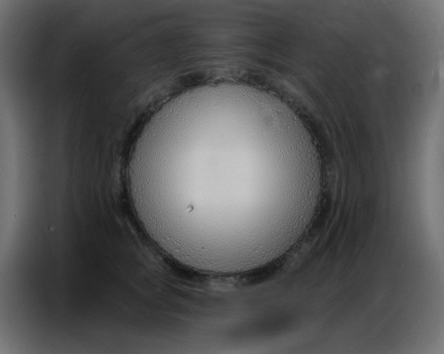 X0000086800757200705041608