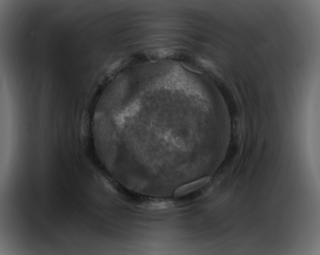 X0000086800760200705041608