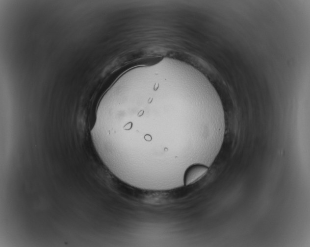 X0000086800761200705041608