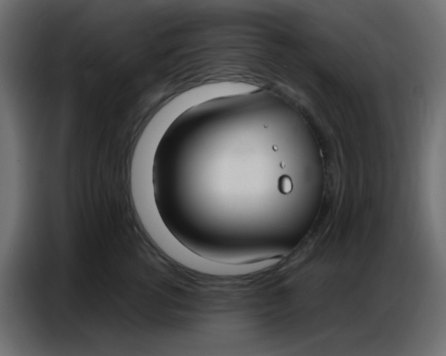 X0000086800762200705041608