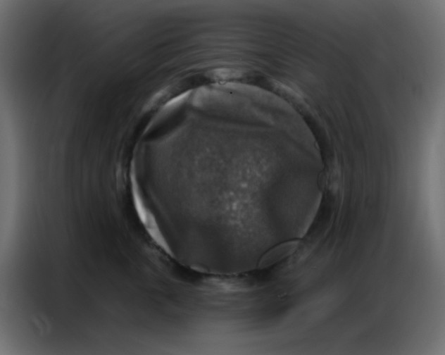 X0000086800763200705041608