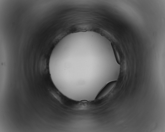 X0000086800764200705041608