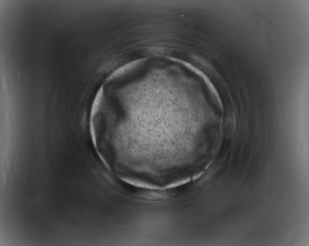 X0000086800765200705041608