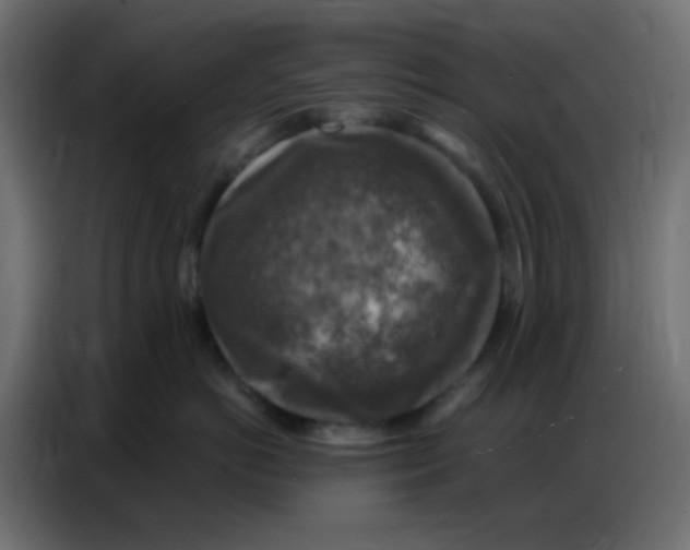 X0000086800766200705041608