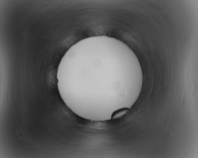 X0000086800768200705041608