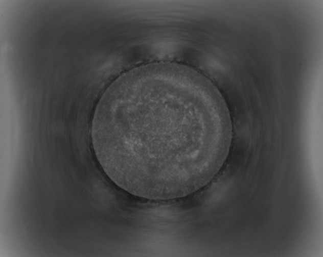 X0000086800769200705041607