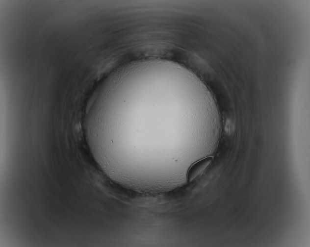 X0000086800771200705041607