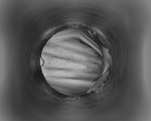 X0000086800775200705041607