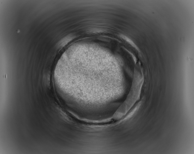 X0000086800777200705041607