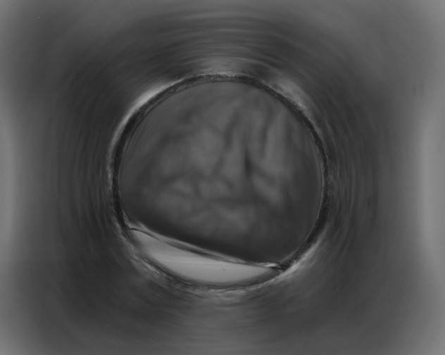 X0000086800779200705041607