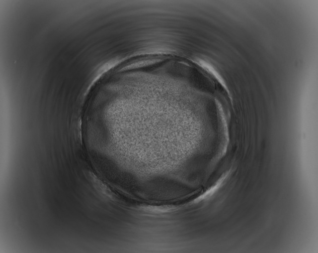 X0000086800781200705041607