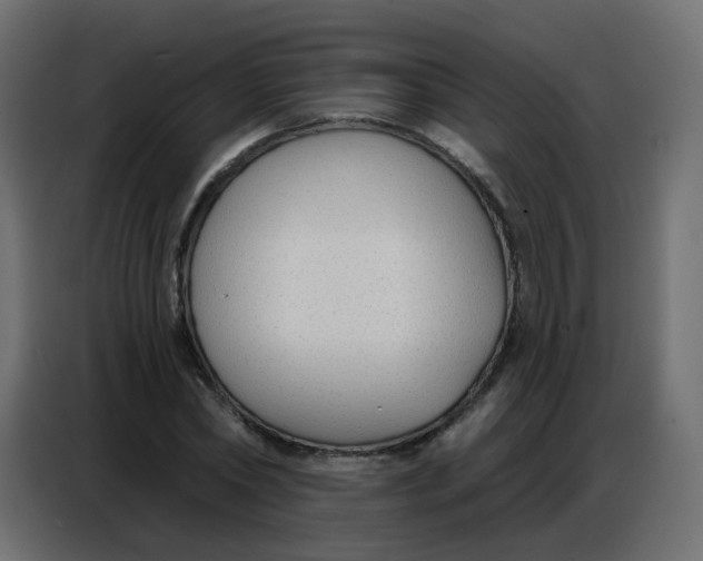 X0000086800782200705041607