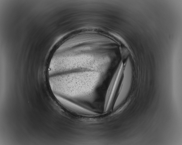 X0000086800783200705041607