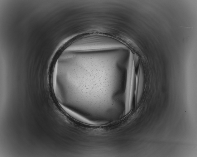 X0000086800784200705041607