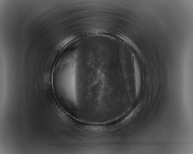 X0000086800785200705041607