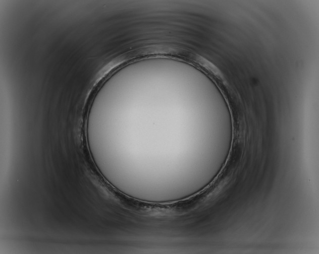 X0000086800786200705041607