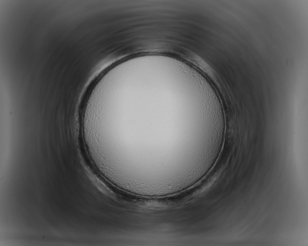 X0000086800787200705041607