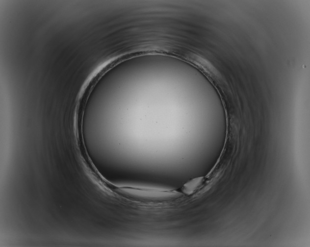 X0000086800788200705041607