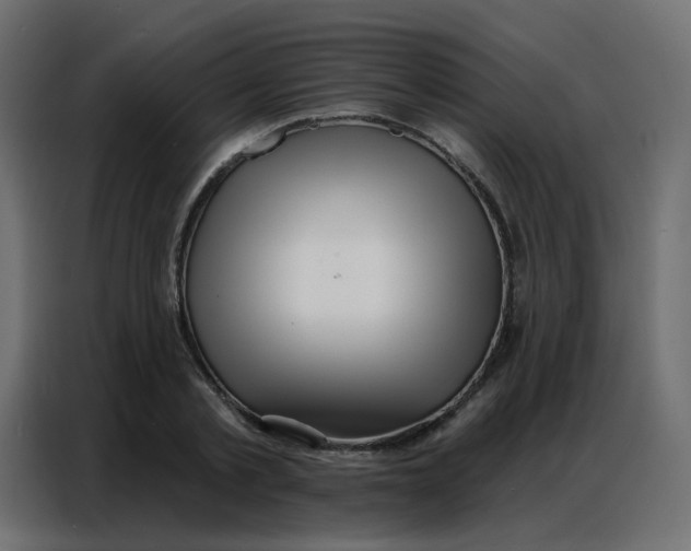 X0000086800789200705041607