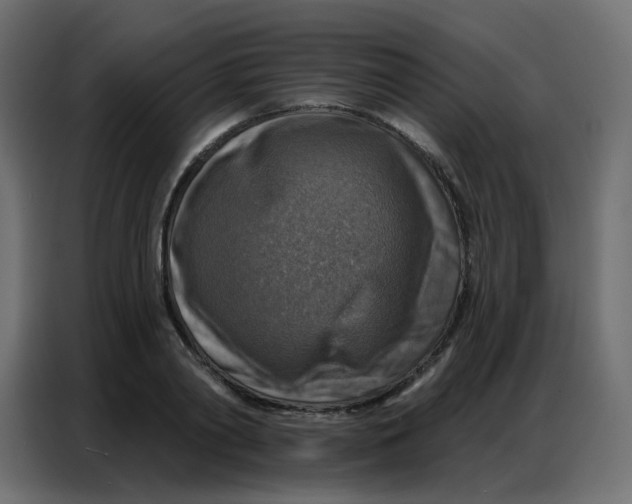 X0000086800790200705041607