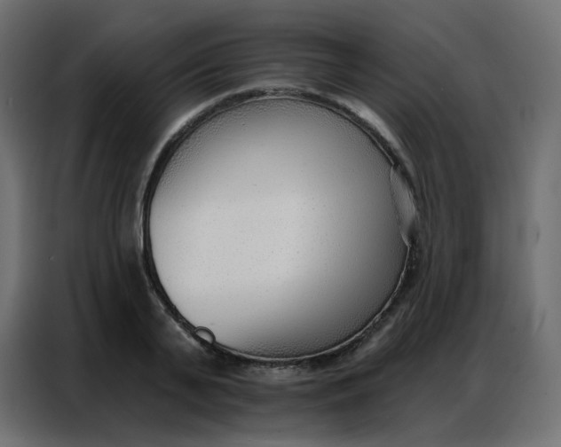 X0000086800791200705041607