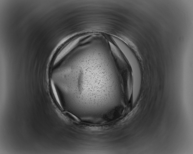 X0000086800792200705041607