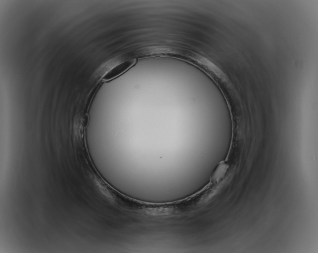 X0000086800793200705041607