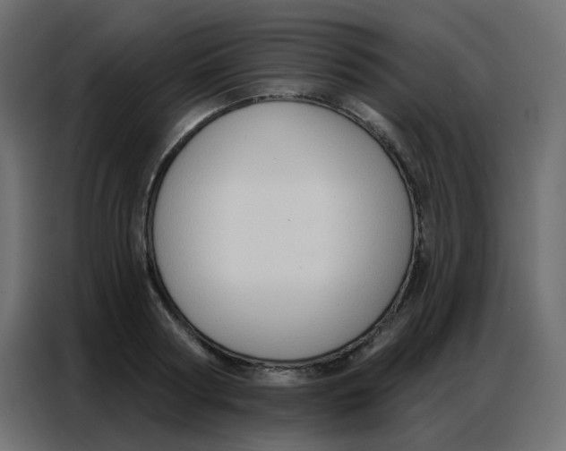 X0000086800794200705041607