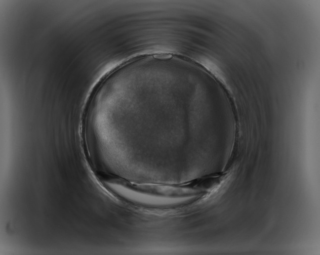 X0000086800797200705041607