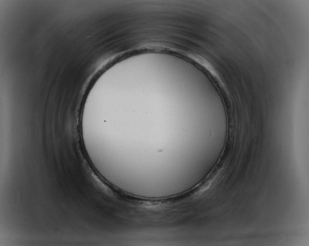 X0000086800799200705041607