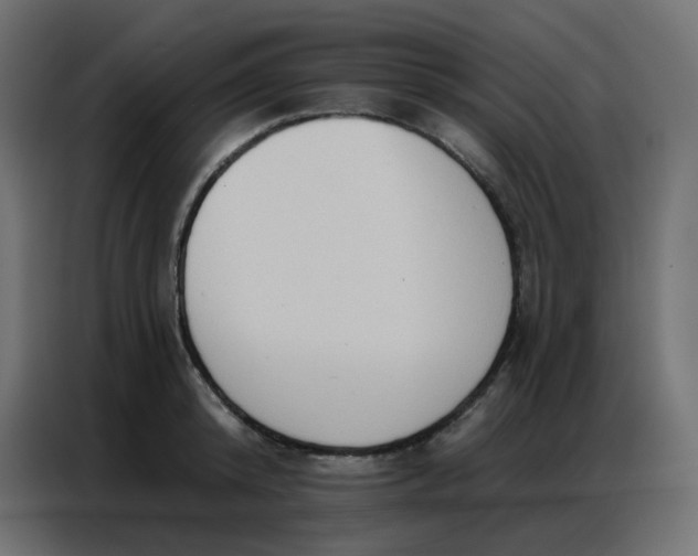 X0000086800800200705041607