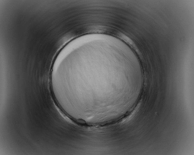 X0000086800802200705041607