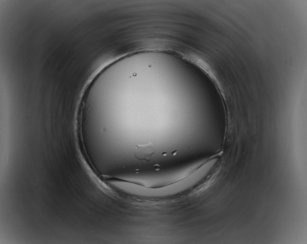 X0000086800803200705041607