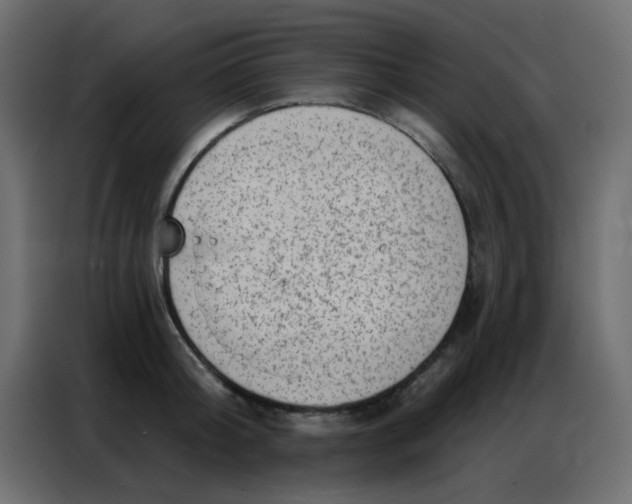 X0000086800804200705041607