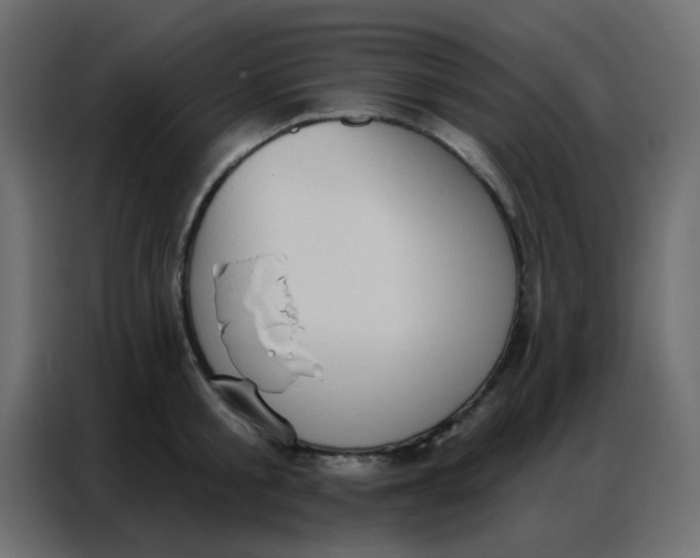 X0000086800805200705041607