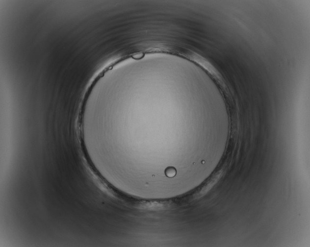 X0000086800806200705041607