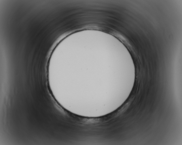 X0000086800808200705041607