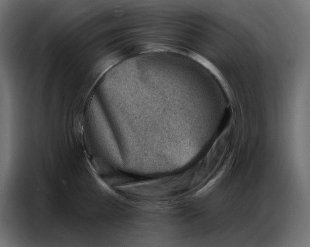 X0000086800809200705041607