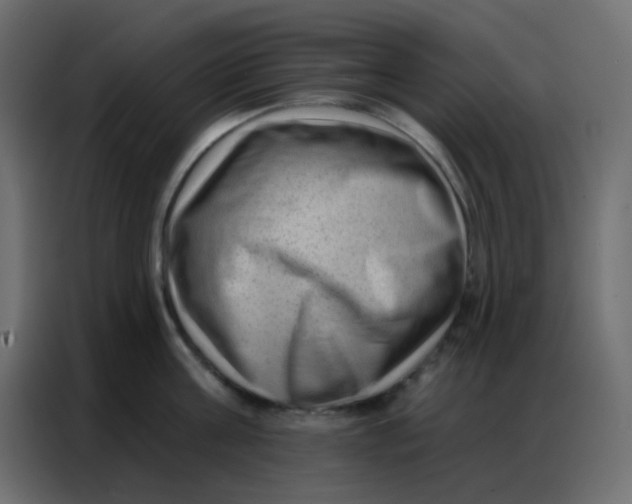 X0000086800811200705041607