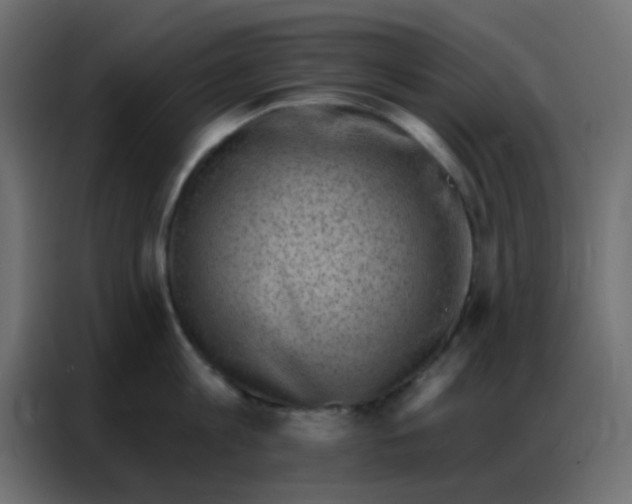 X0000086800813200705041607