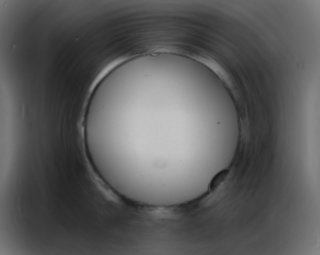 X0000086800814200705041607