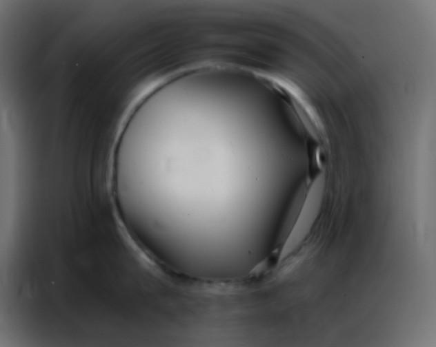 X0000086800815200705041607