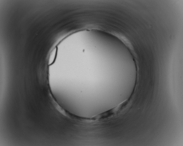 X0000086800816200705041607