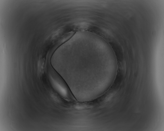 X0000086800818200705041606