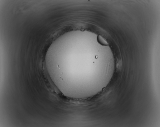 X0000086800819200705041606