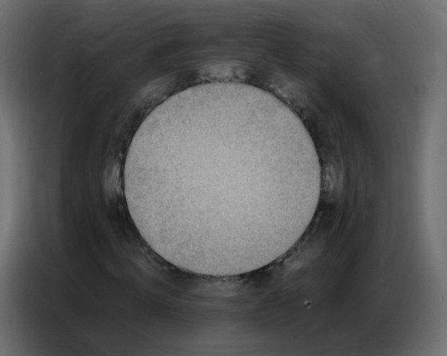 X0000086800820200705041606