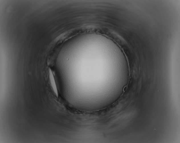 X0000086800821200705041606